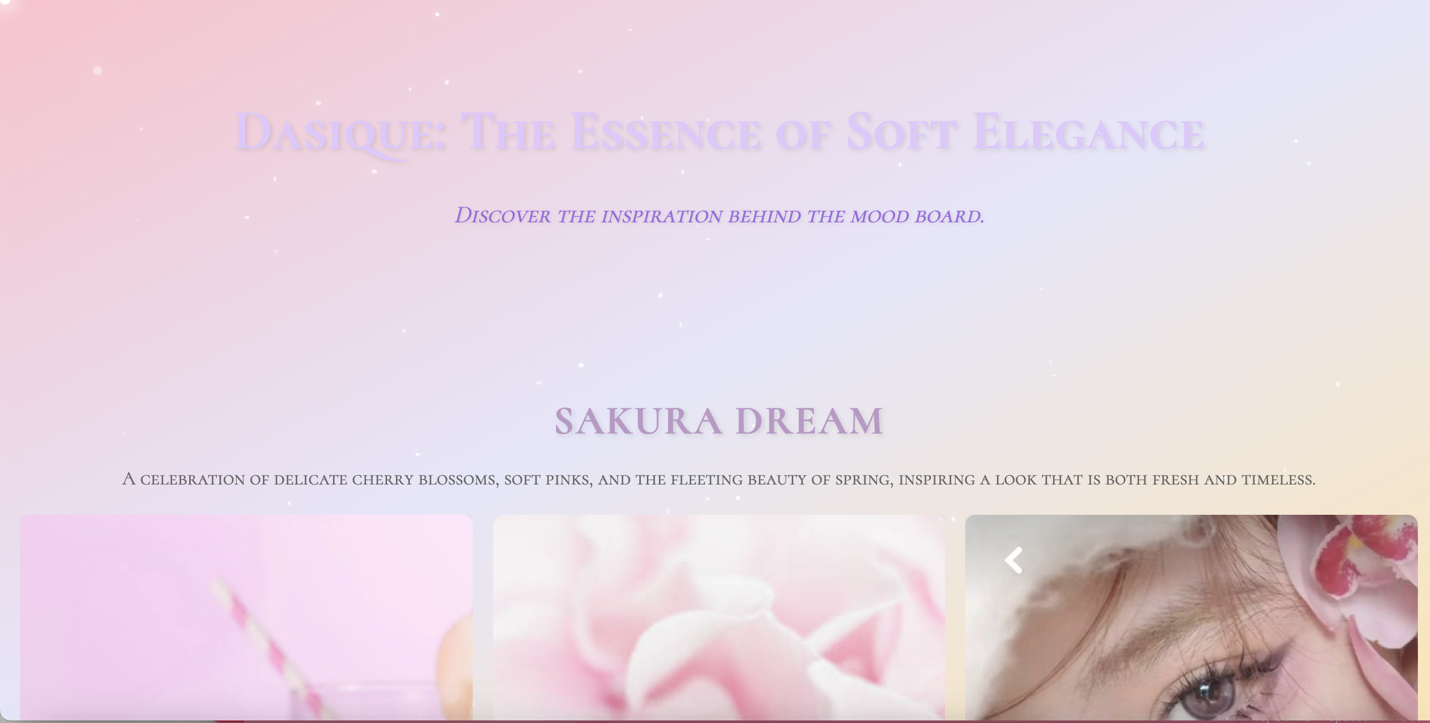 Dasique K-beauty interface concept